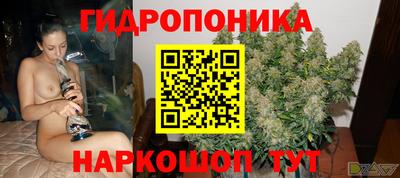 индика Кулебаки