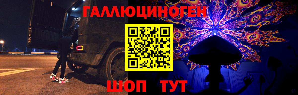 Улан-Удэ  Псилоцибиновые грибы Psilocybe  Вход с VPN  Псилоцибиновые грибы Psilocybine cubensis 
